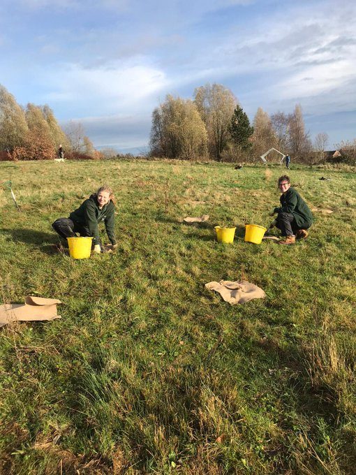 tree planting golborne park